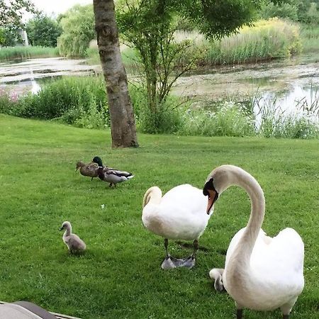 Cotswolds Lake Side Home With Luxury Spa Swallows Nest,Lower Mill Estate, Lakeside Home And Spa With A Harry Potter Cupboard Under The Stairs Somerford Keynes Exteriör bild