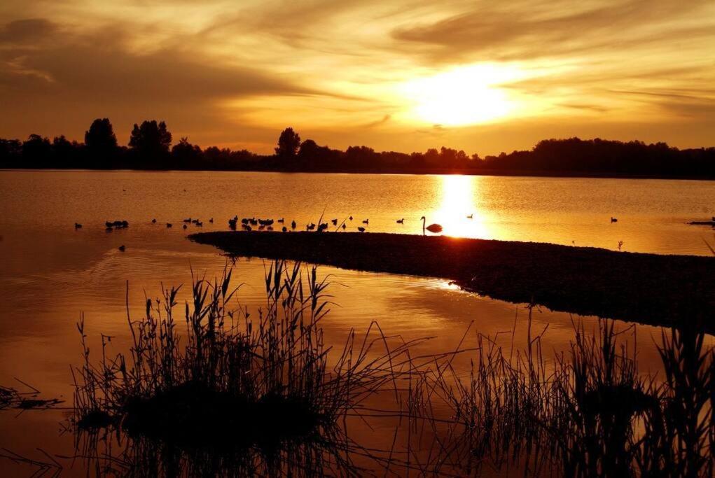 Cotswolds Lake Side Home With Luxury Spa Swallows Nest,Lower Mill Estate, Lakeside Home And Spa With A Harry Potter Cupboard Under The Stairs Somerford Keynes Exteriör bild