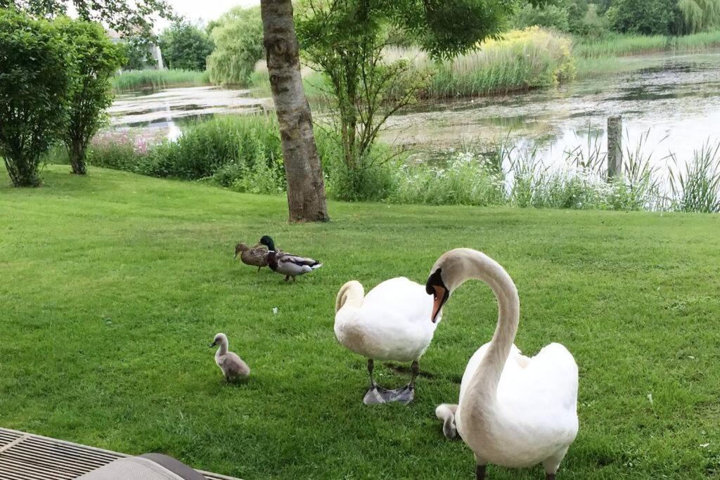 Cotswolds Lake Side Home With Luxury Spa Swallows Nest,Lower Mill Estate, Lakeside Home And Spa With A Harry Potter Cupboard Under The Stairs Somerford Keynes Exteriör bild